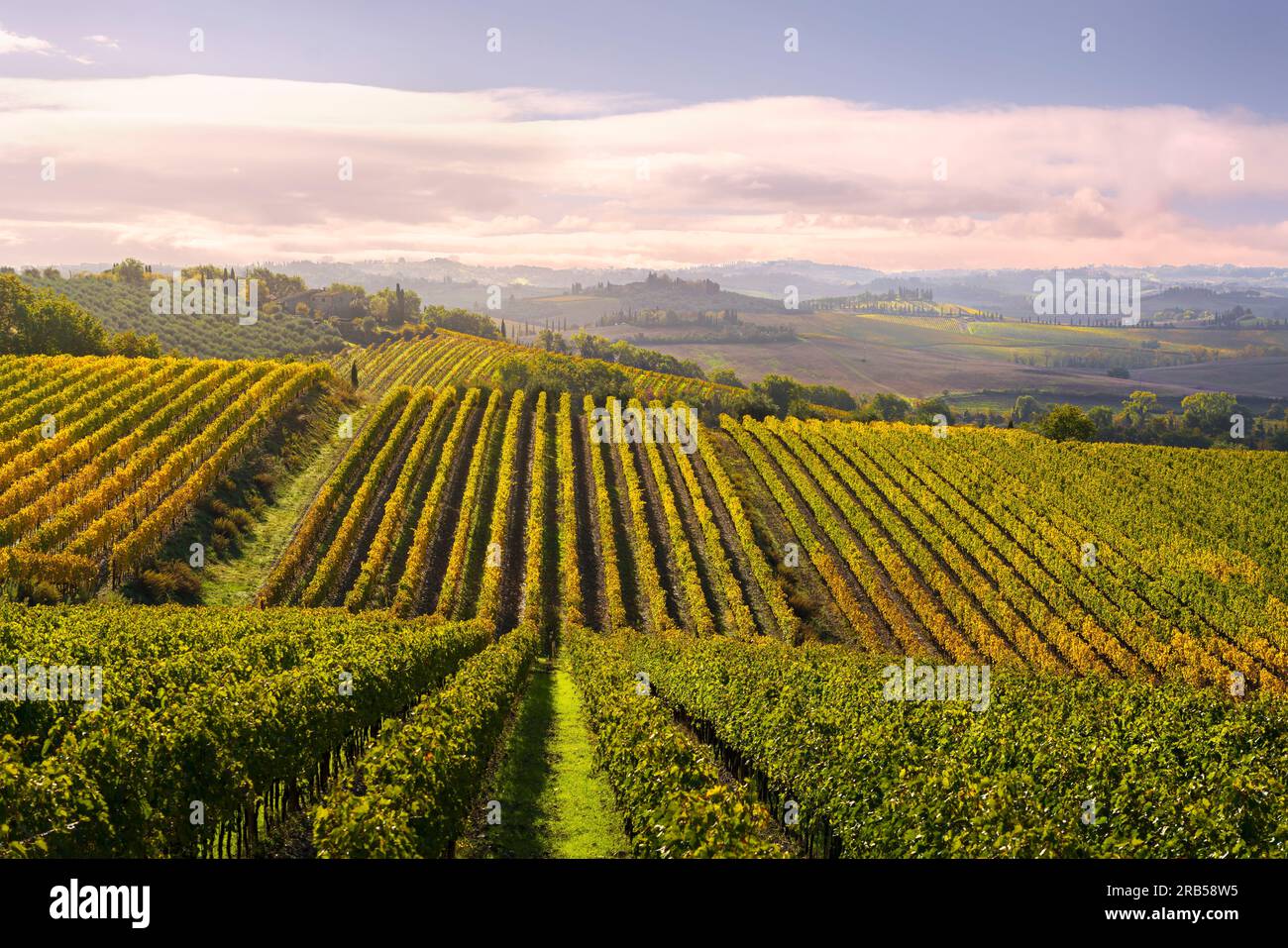 Vineyards landscape in Castellina in Chianti in autumn, Tuscany region, Italy Stock Photo