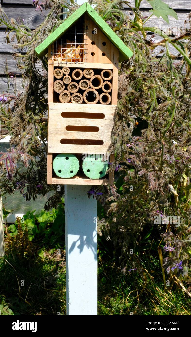 Bee hotel on allotment with several of the holes plugged Stock Photo