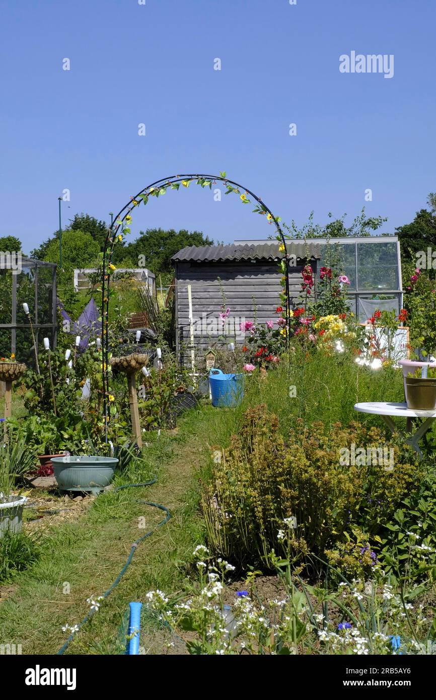 Garden arch festooned with solar lights on a British allotment Stock