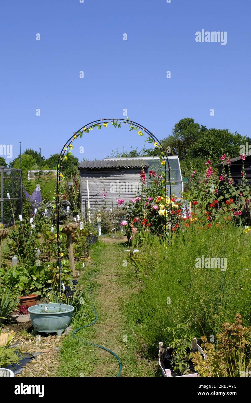Garden arch festooned with solar lights on a British allotment Stock