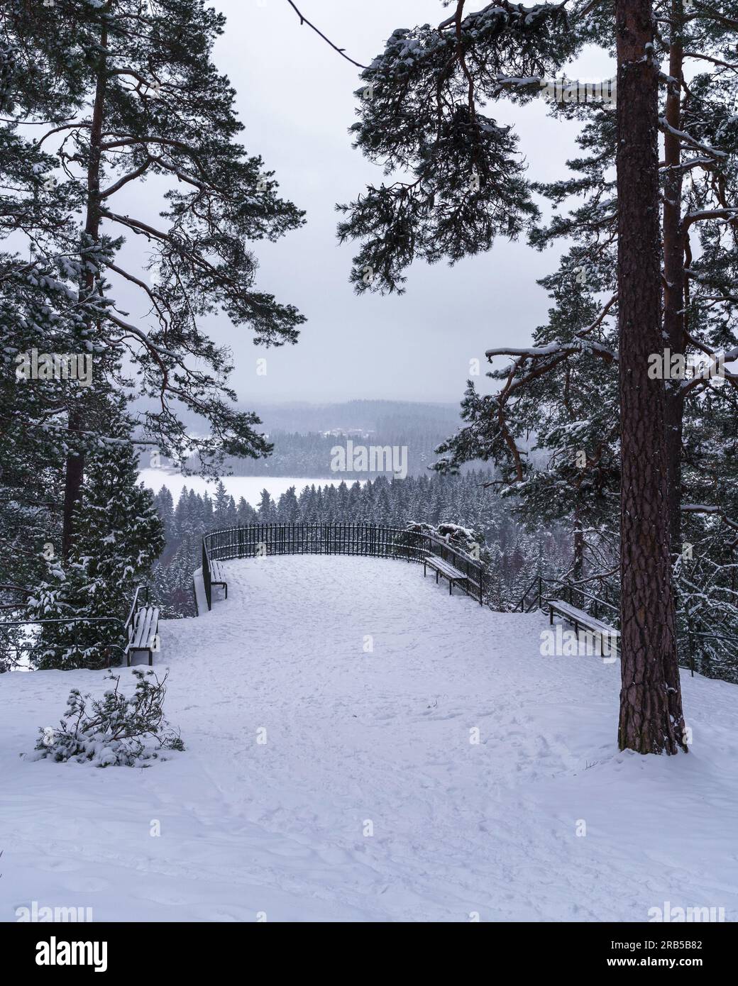 Aulanko nature reserve lookout platform in winter. Hameenlinna, Finland. Stock Photo