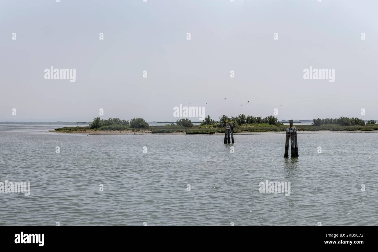 landscape with scattered green islands in water of lagoon, shot in bright light at Marano Lagunare, Friuli, Italy Stock Photo