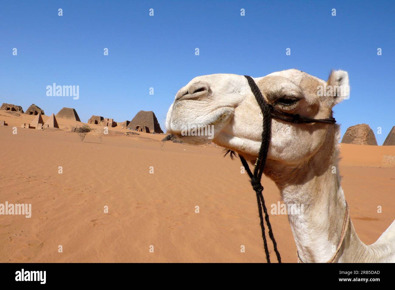 Meroe Archeological Site. Nubia. Sudan. North Africa Stock Photo