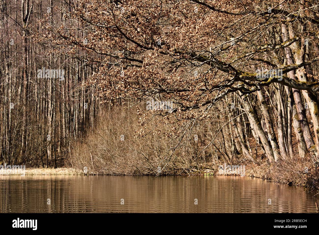 Lake water ripples next tall hi-res stock photography and images - Alamy