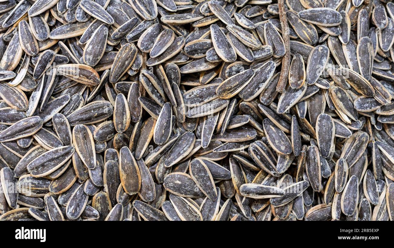 Striped black sunflower seeds, texture, background Stock Photo Alamy