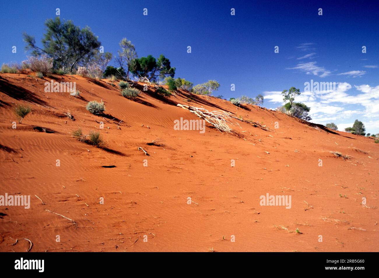 Outback. Australia Stock Photo