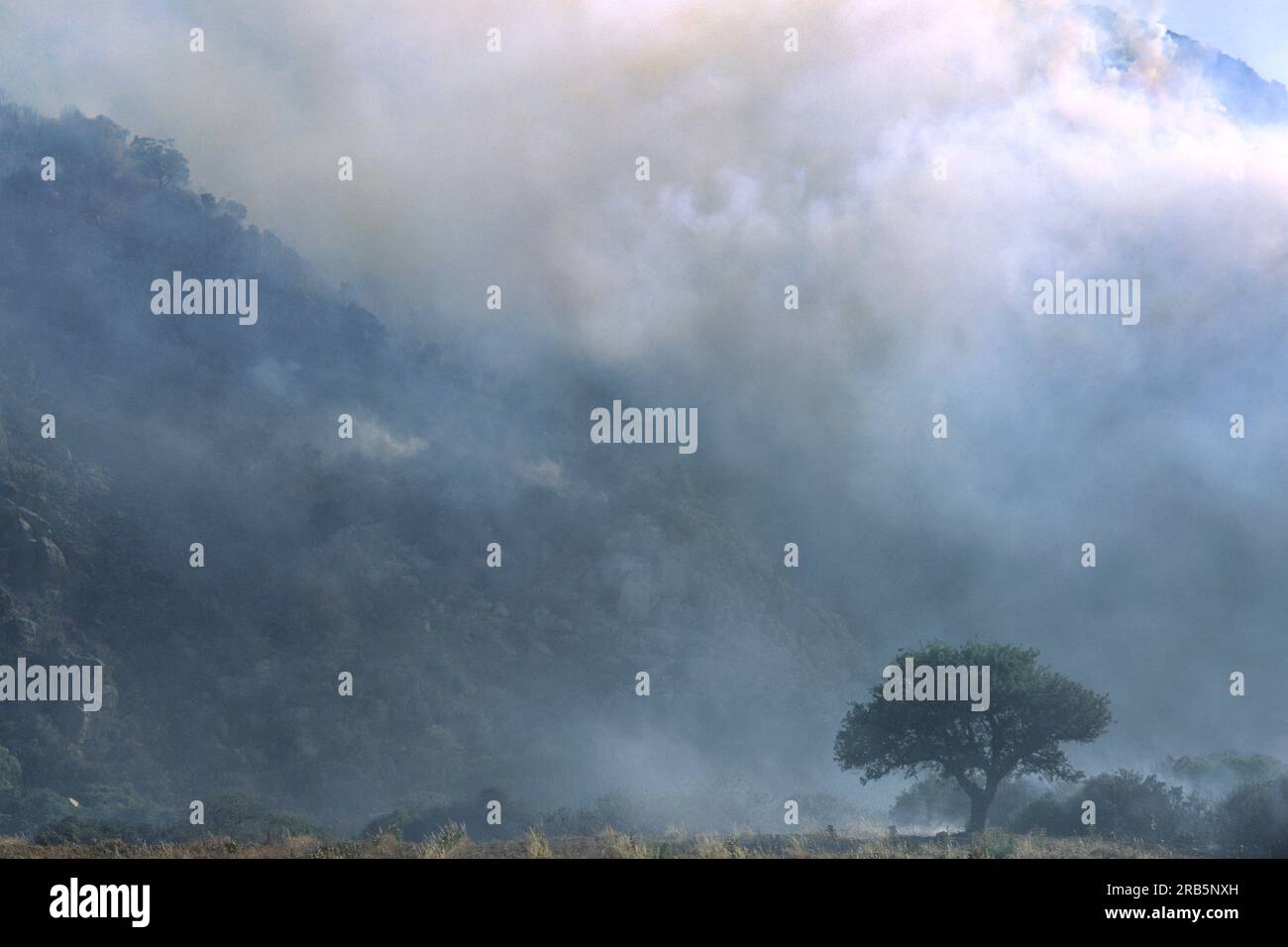 Fire Near Chia. Sardinia. Italy Stock Photo