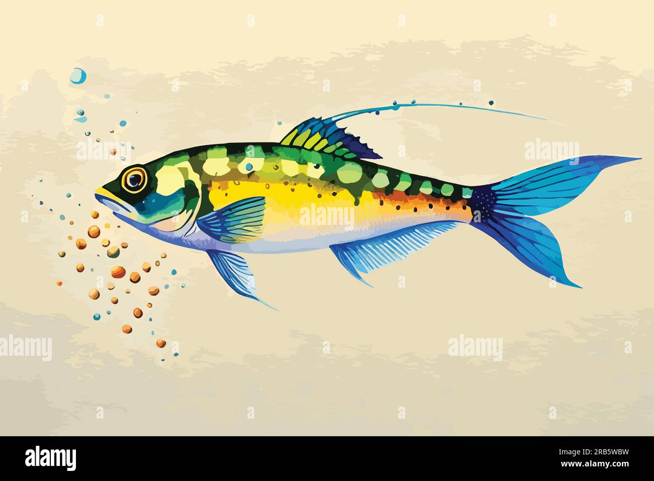 Goby fish watercolor art illustration Stock Vector Image & Art - Alamy