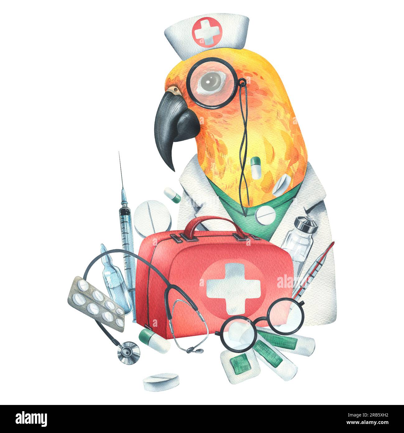 Parrot health hi-res stock photography and images - Alamy