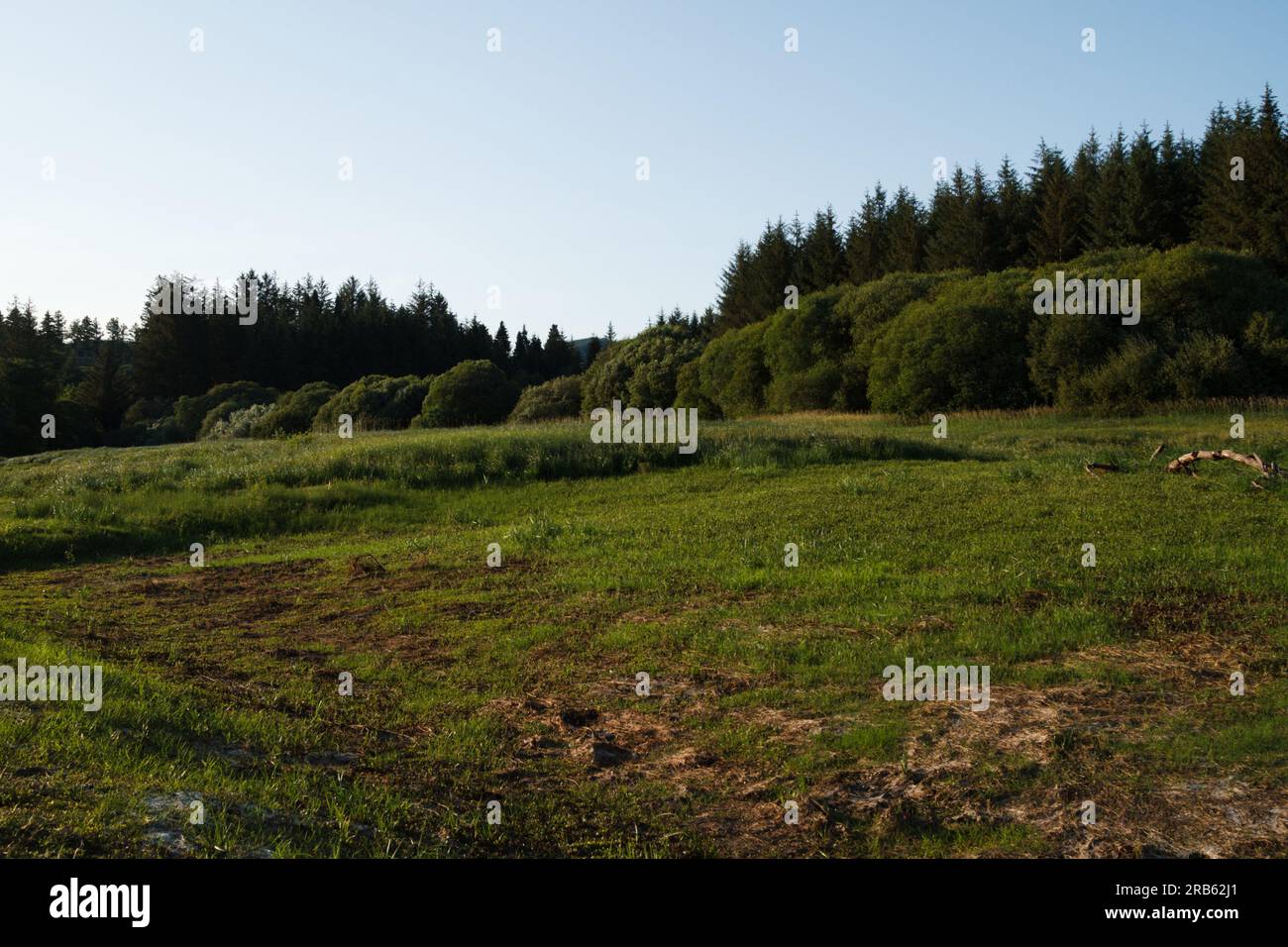 Llwyn Onn reservoir, Merthyr Tydfil, South Wales, UK. 7 July 2023.  Lower water levels than normal after weeks of warm weather.  Credit: Andrew Bartlett/Alamy Live News. Stock Photo
