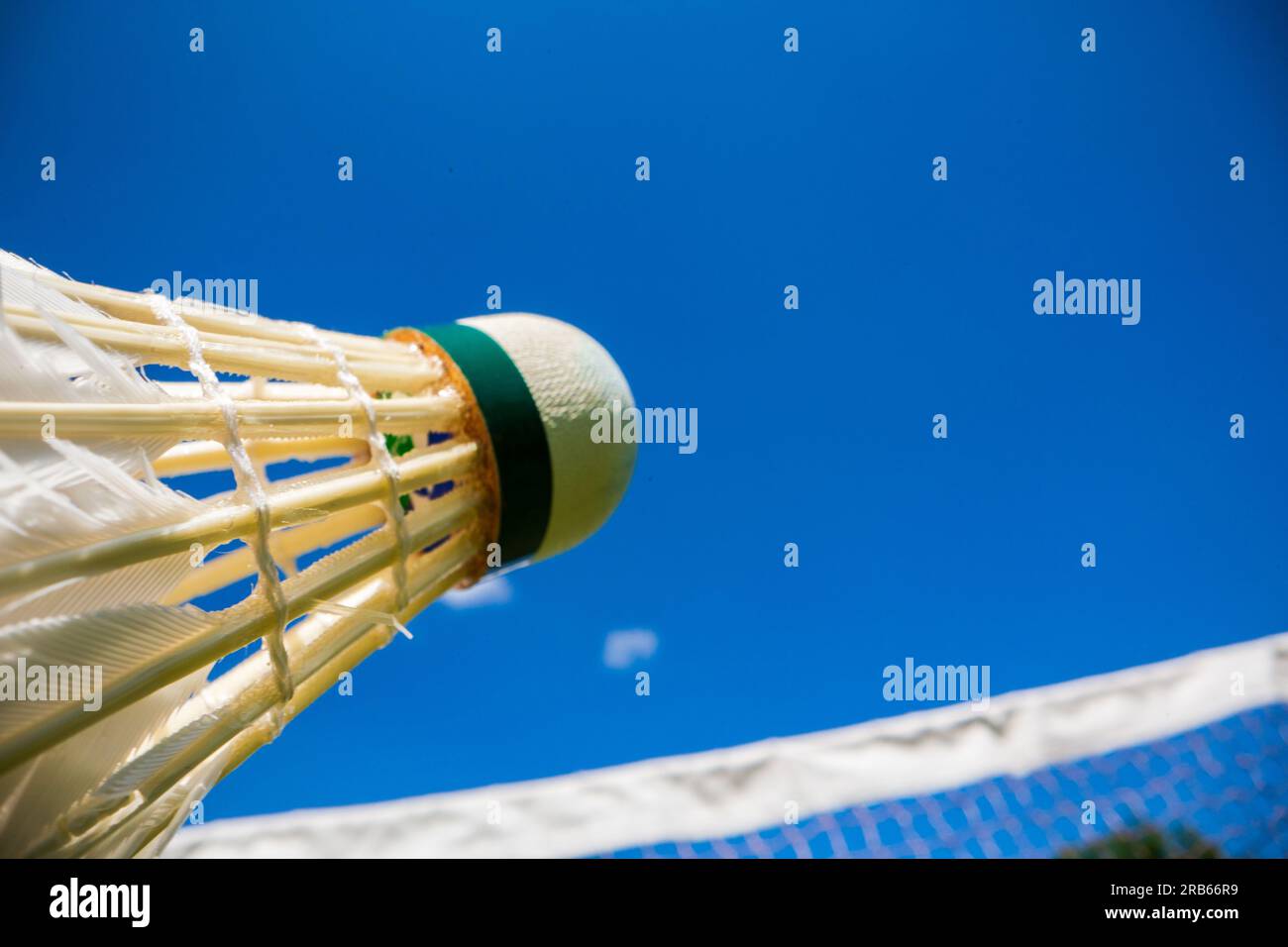 Badminton details 2024
