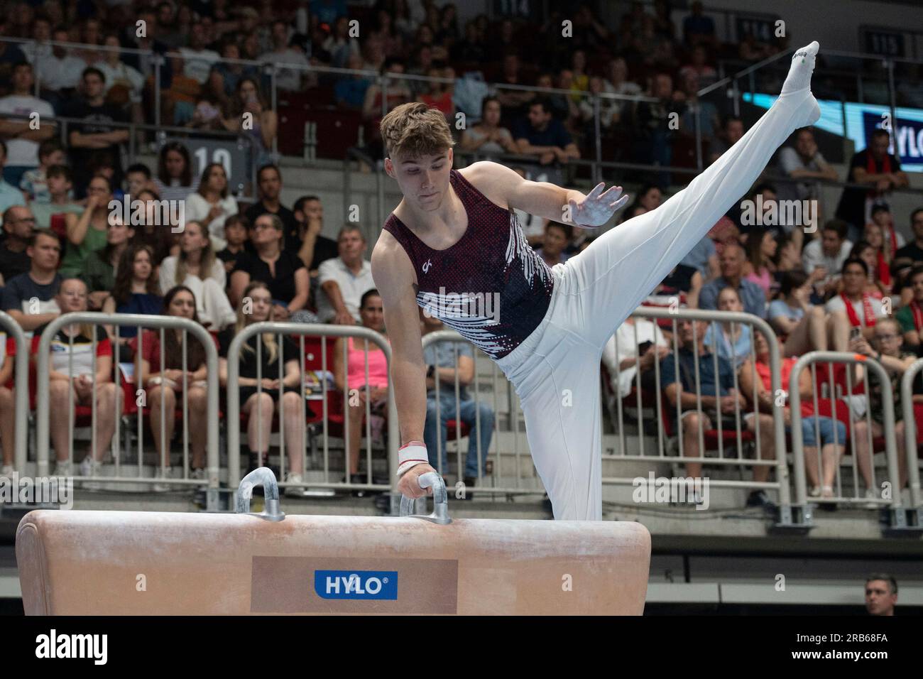 Pascal BRENDEL, KTV Wetzlar, pommel horse gymnastics campaign, men's