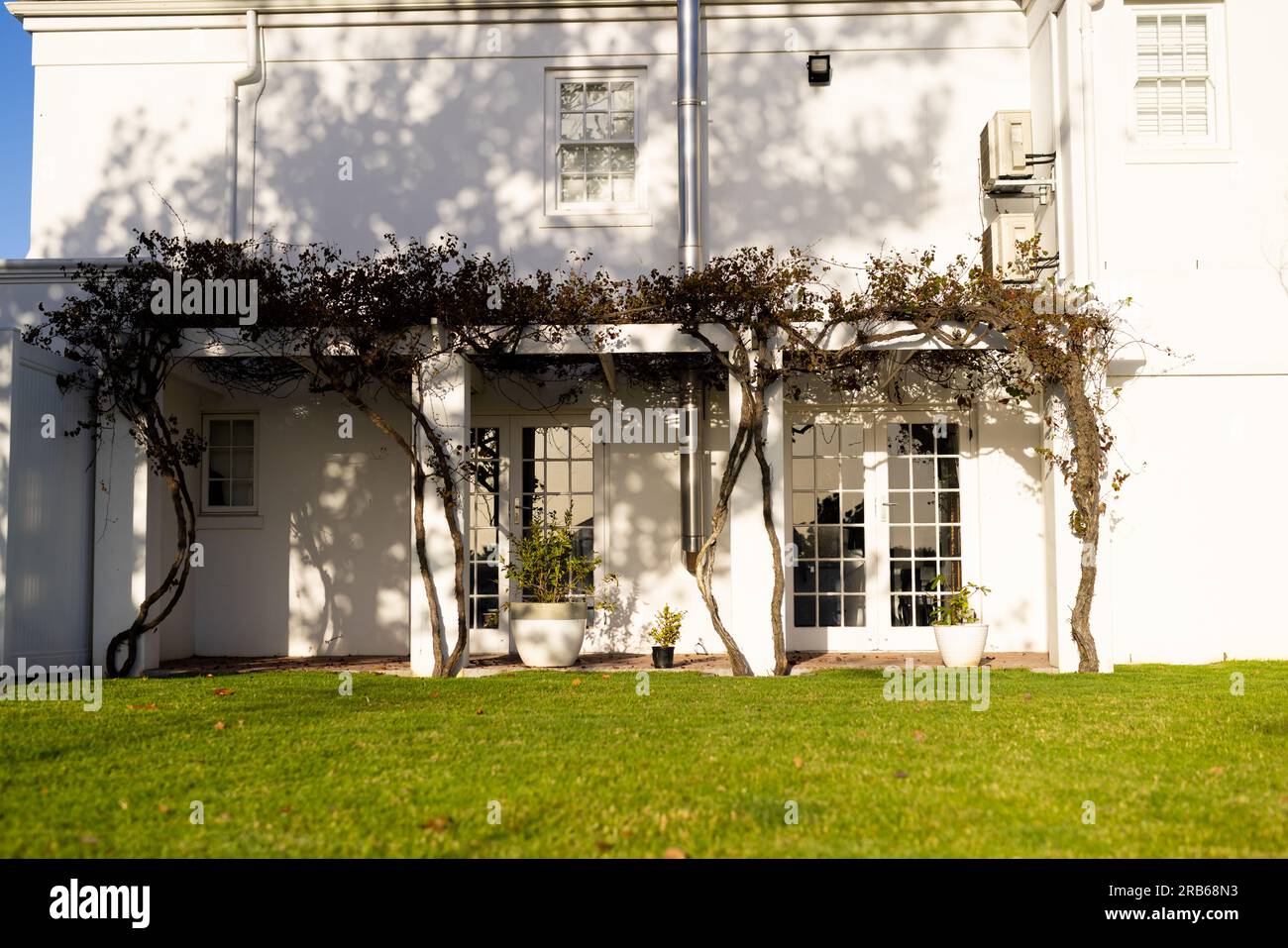 Exterior of back of white house with large windows and climbing plants in sunny garden. Property, home ownership, architecture, summer and domestic li Stock Photo