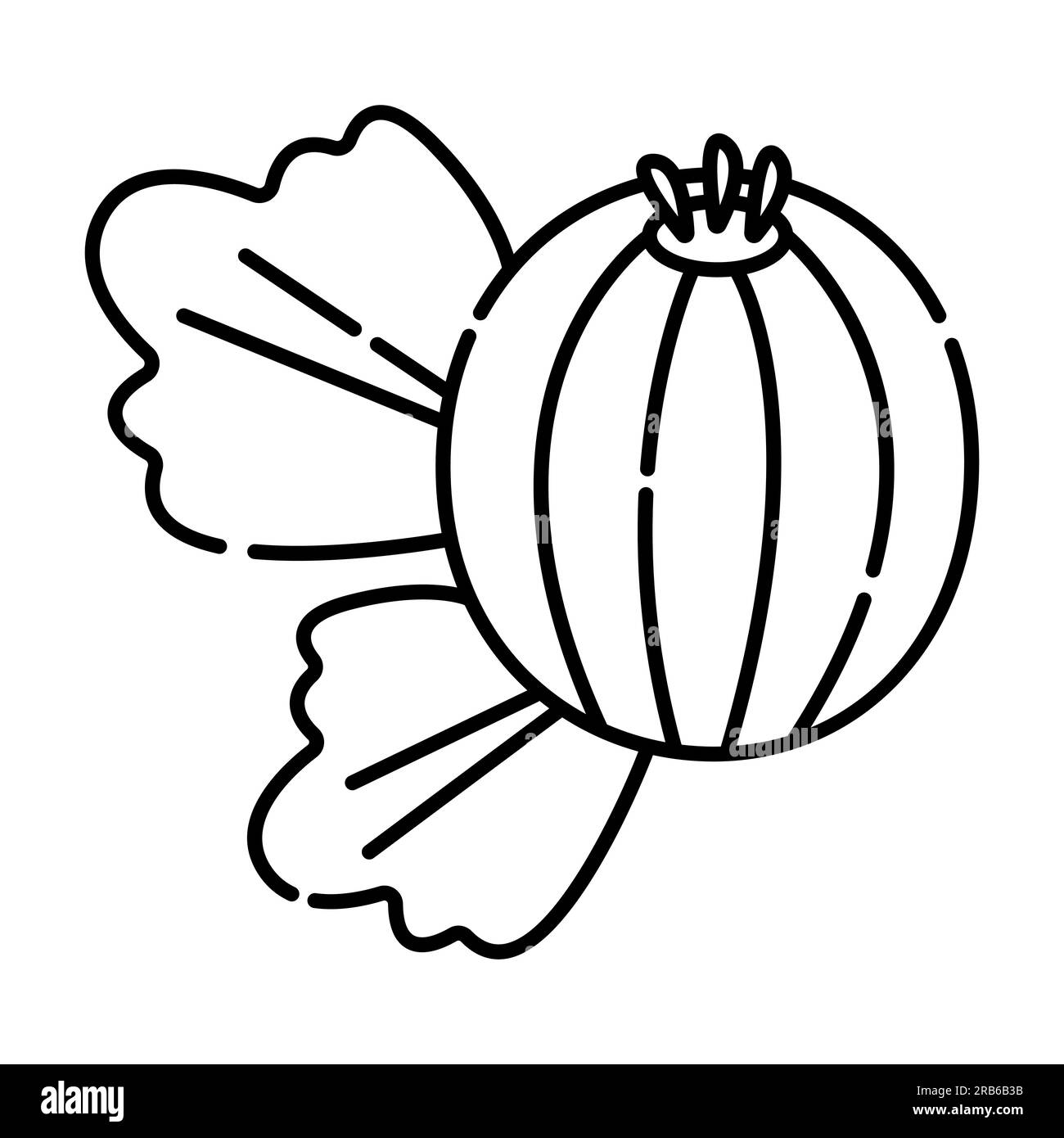 Gooseberry black and white vector line icon Stock Vector Image & Art