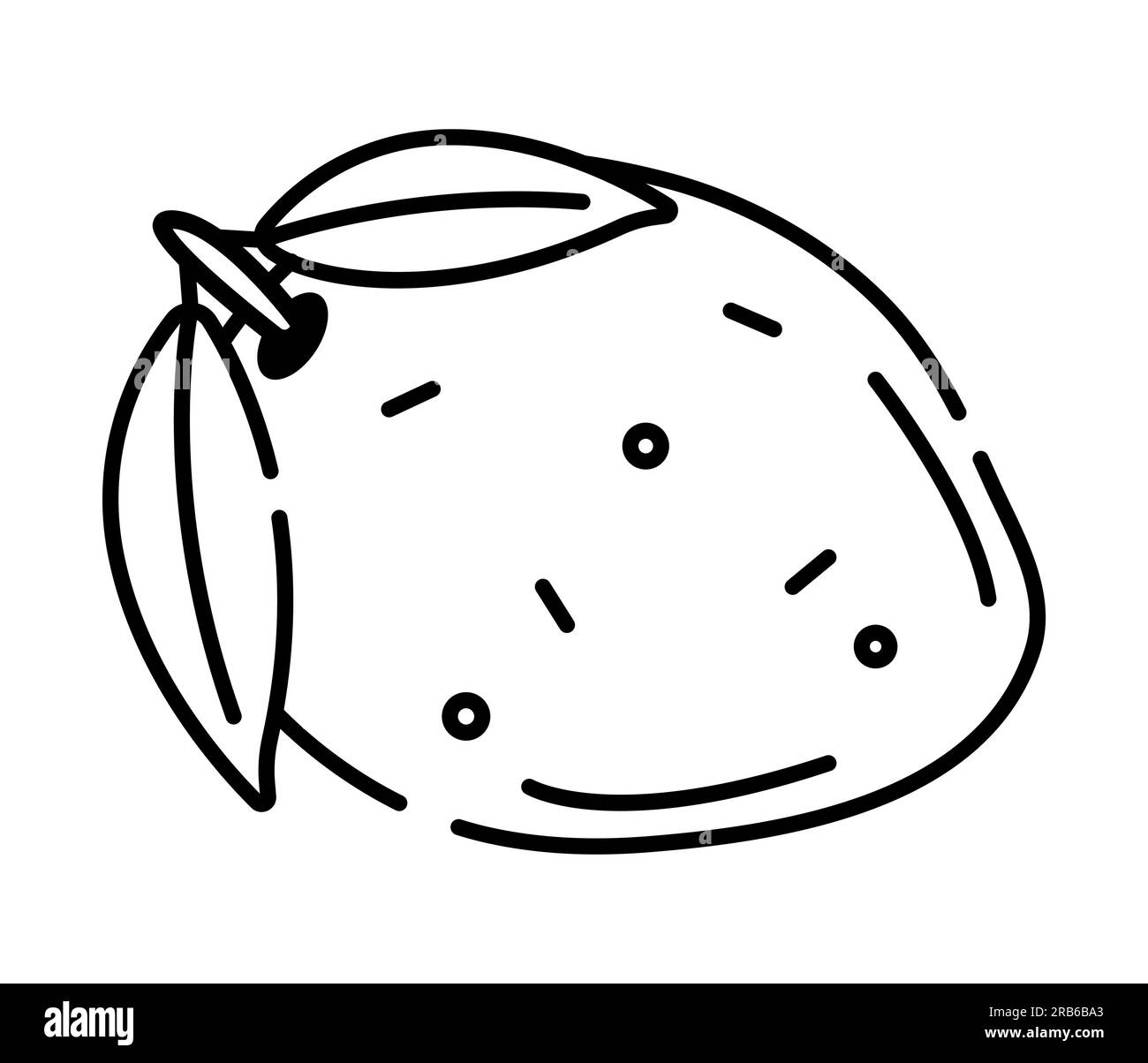 Ripe mango tree Black and White Stock Photos & Images Alamy