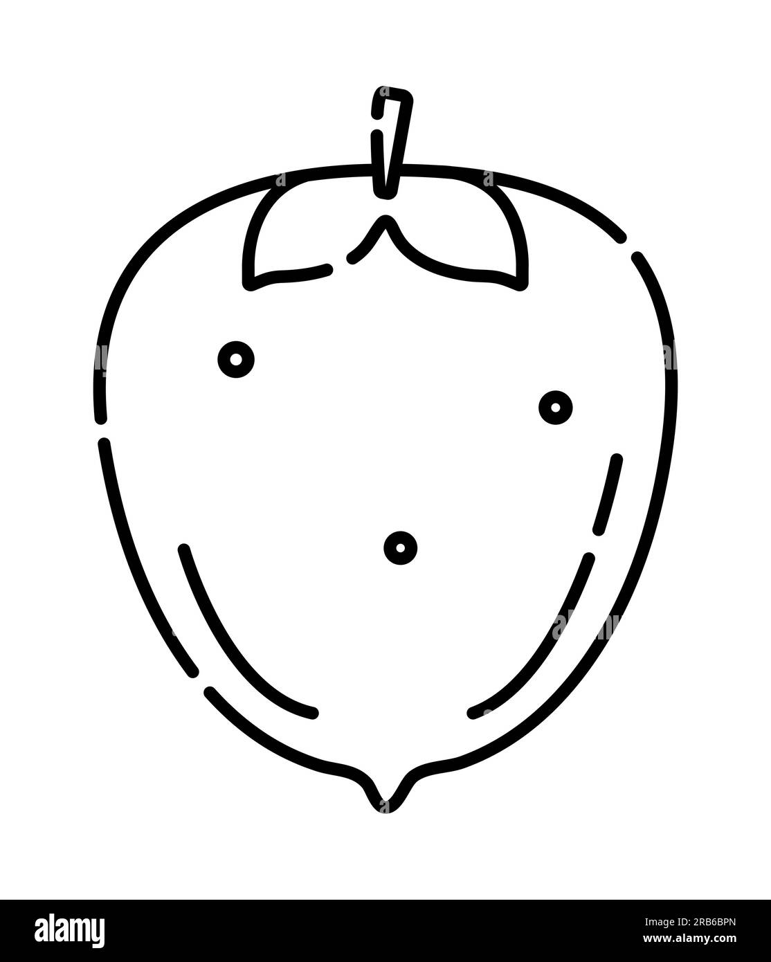 Persimmon black and white vector line icon Stock Vector Image & Art Alamy