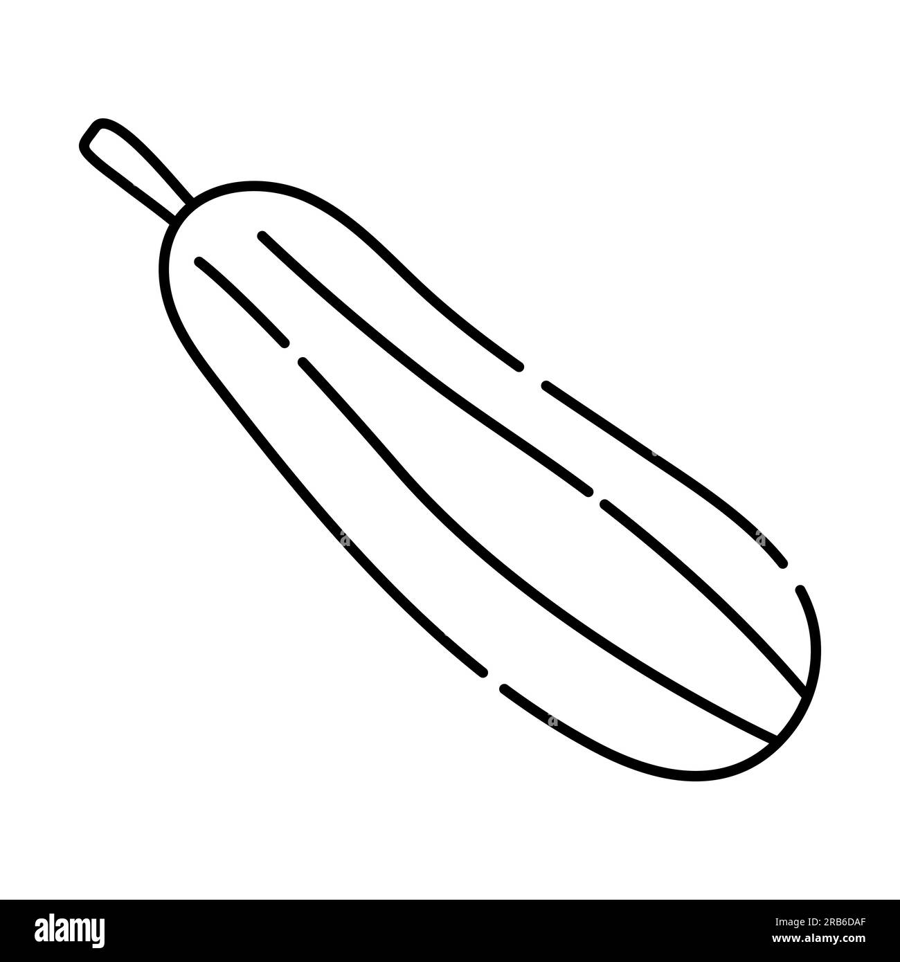 Vegetable marrow black and white vector line icon Stock Vector