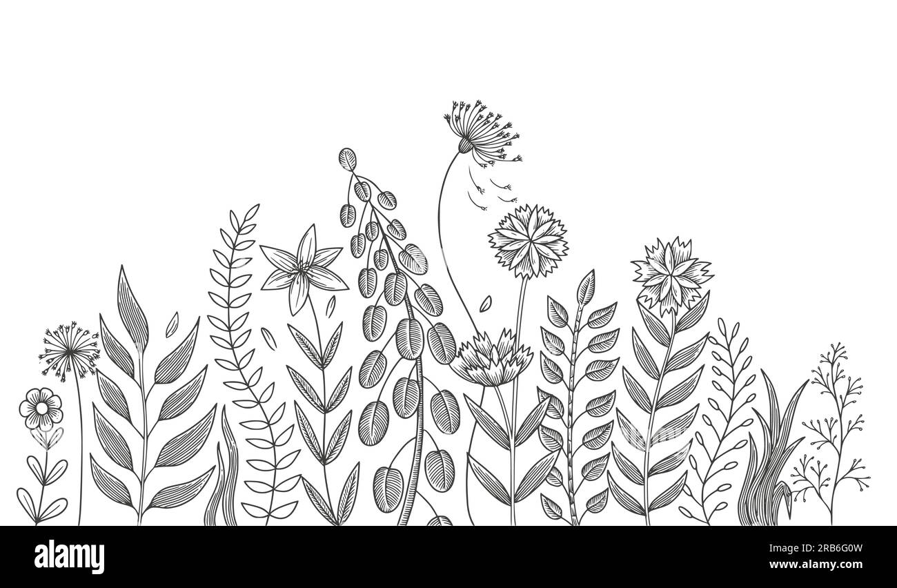Beautiful flowers isolated on white background. vector illustration ...