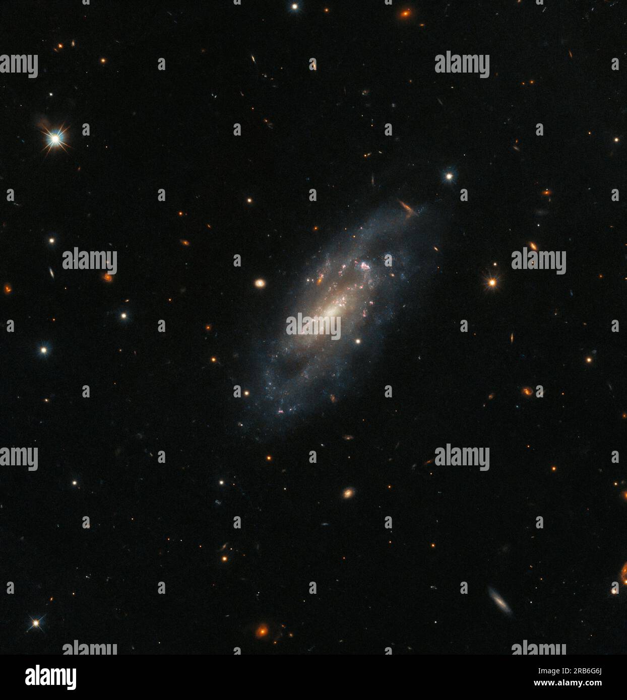The spiral galaxy UGC 11860 seems to float serenely against a field of background galaxies in this image from the NASA/ESA Hubble Space Telescope. UGC 11860 lies around 184 million light-years away in the constellation Pegasus, and its untroubled appearance is deceiving; this galaxy recently played host to an almost unimaginably energetic stellar explosion. A supernova explosion  the catastrophically violent end of a massive stars life  was detected in UGC 11860 in 2014 by a robotic telescope dedicated to scouring the skies for transient astronomical phenomena  astronomical objects that ar Stock Photo