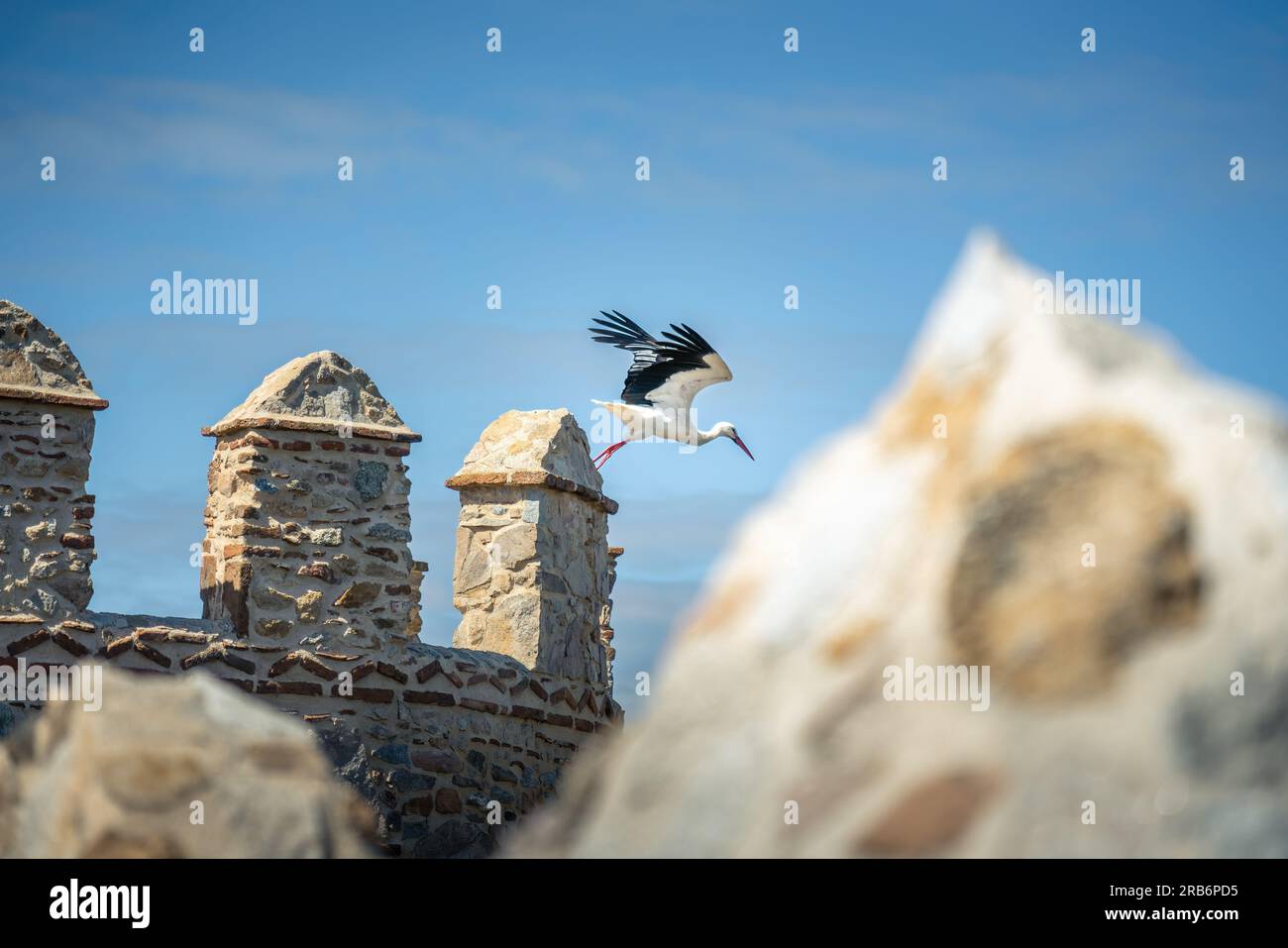 Stork flying at Medieval Walls of Avila Battlements - Avila, Spain ...