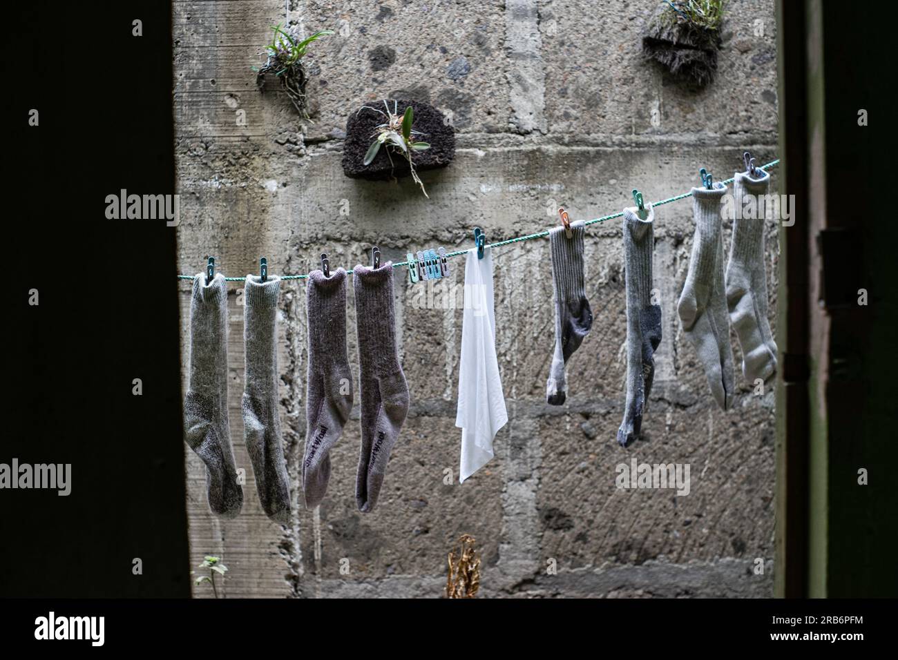 SmartWool Socks and a lens cloth hanging on a clothes line in front of