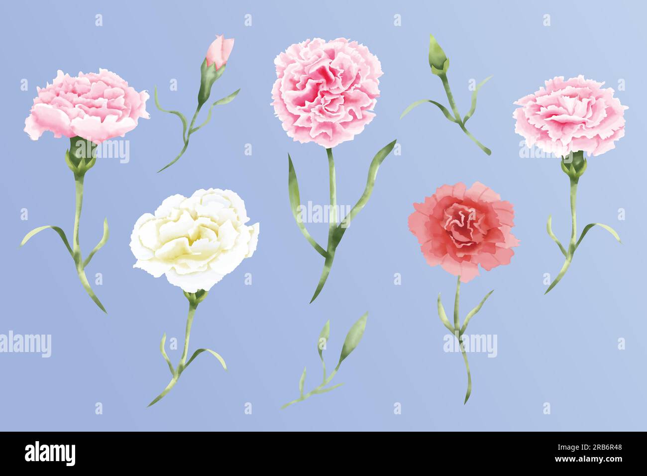 Carnation bouquet Stock Vector Images Alamy