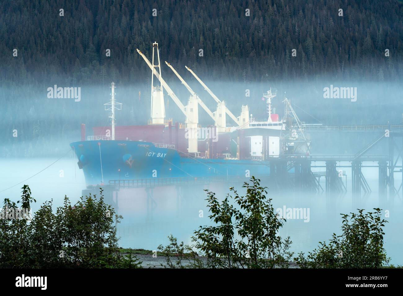 Tanker in the mist with pine trees forest, Stewart, British Columbia, Canada. Stock Photo