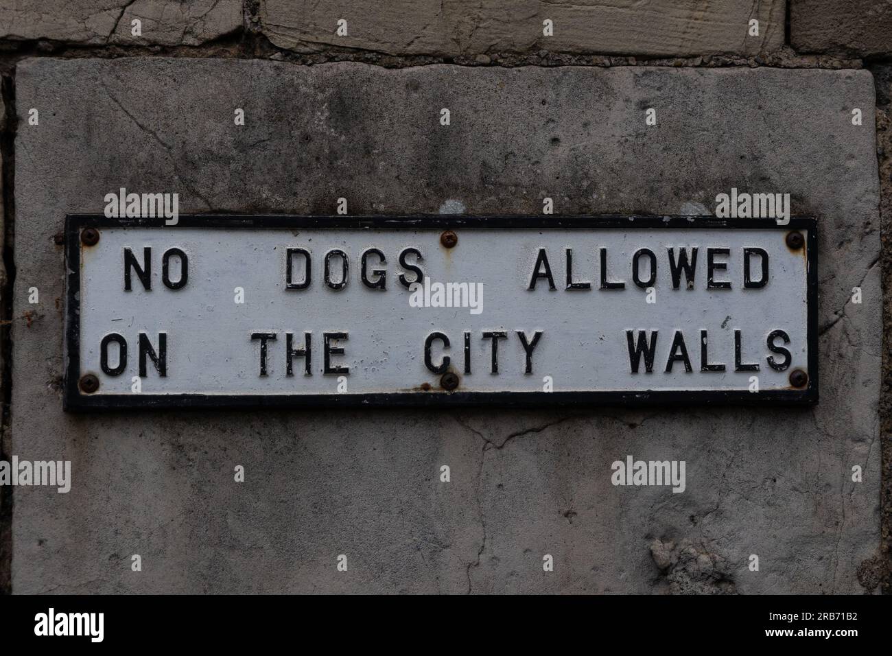 YORK, UK - JULY 03, 2023:  Unusual sign prohibiting dogs on the City Walls Stock Photo