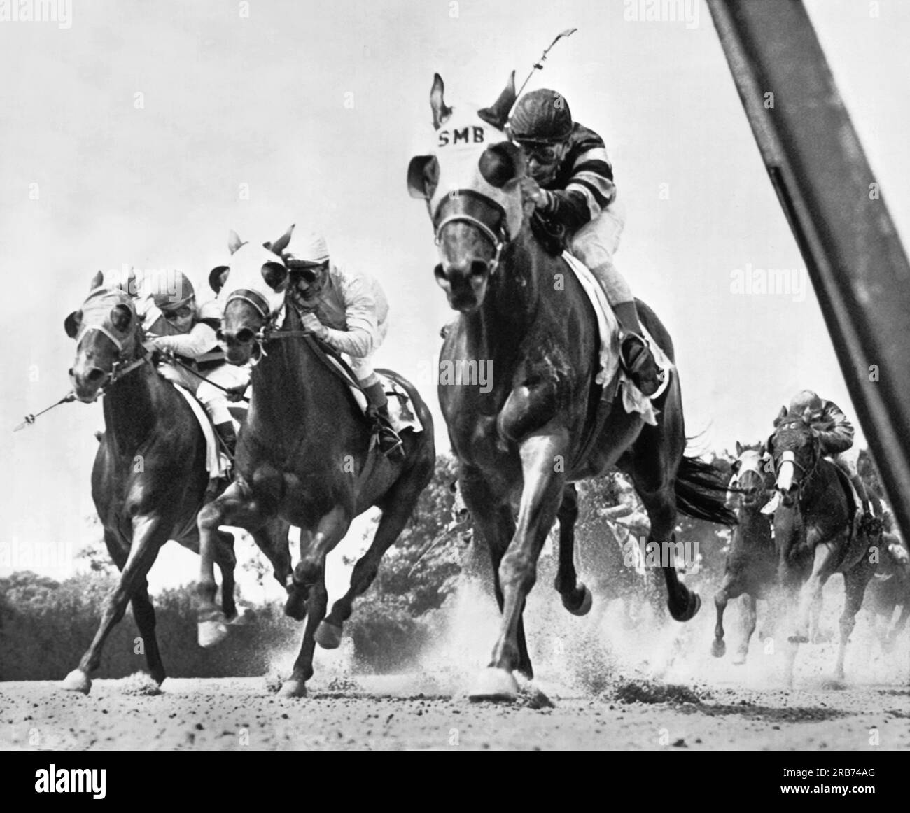 14.674 fotos de stock e banco de imagens de Horse Racing Back