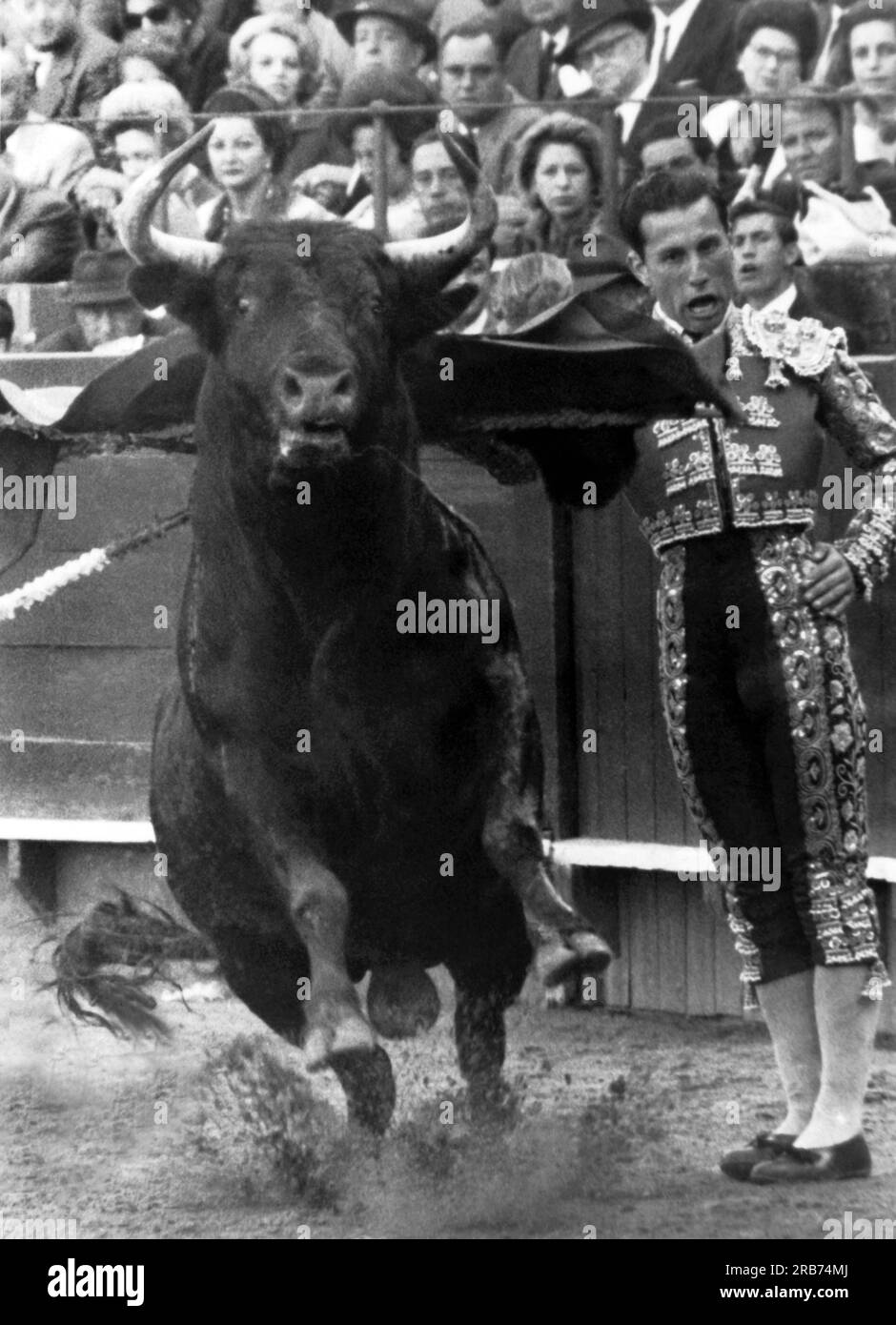 Bullfighter jacket Black and White Stock Photos & Images Alamy