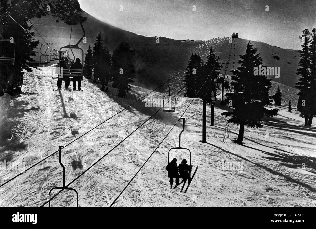 Squaw Valley, California:  c. 1966. The criss-cross of the lift lines and the well-worn tracks below highlight this photo of two of Squaw Valley's most popular lifts. Stock Photo