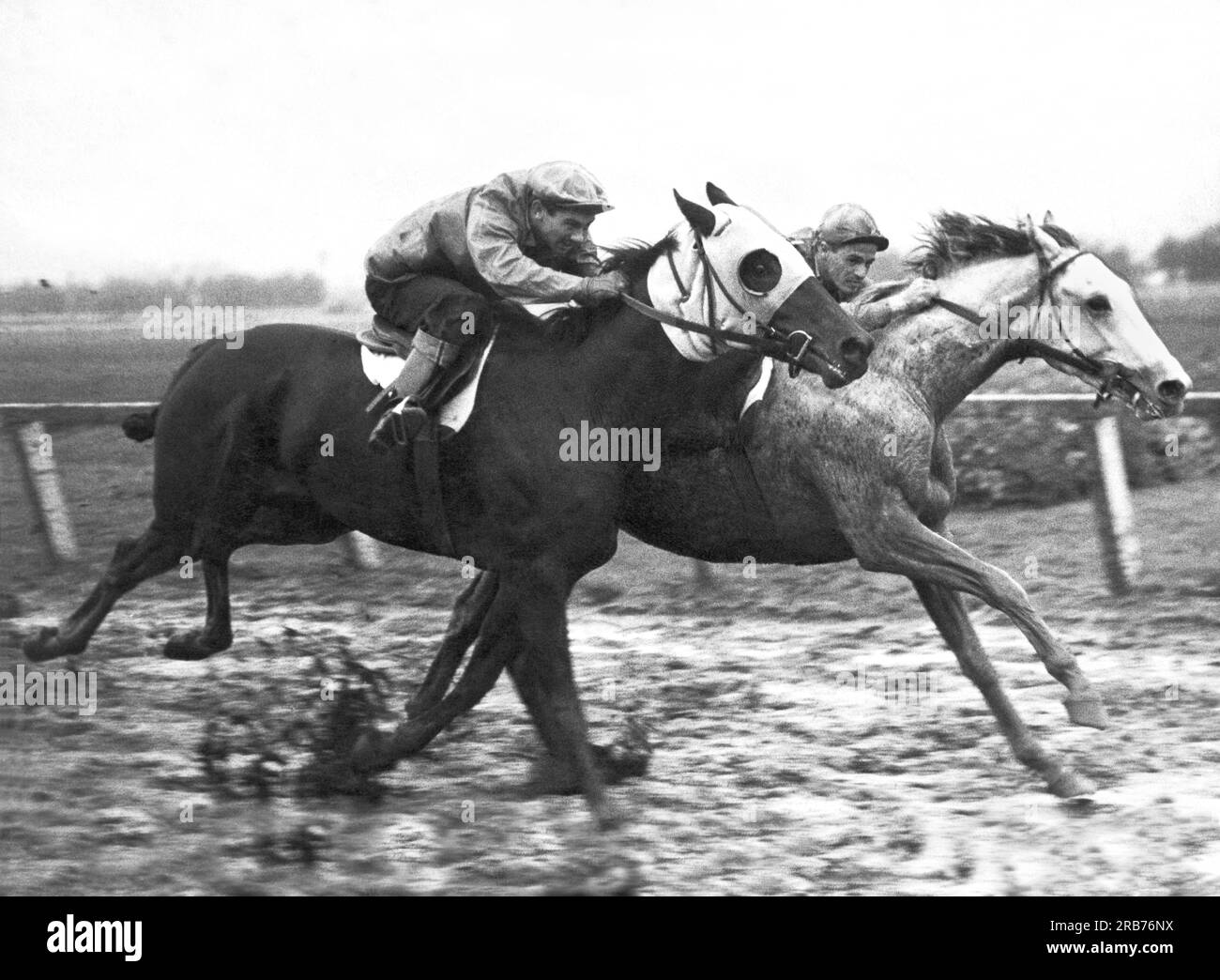 Los Angeles, California:  November 6, 1941 Wildebeest (L) and Blueberry Pie running close down the stretch of a horse race.. Stock Photo