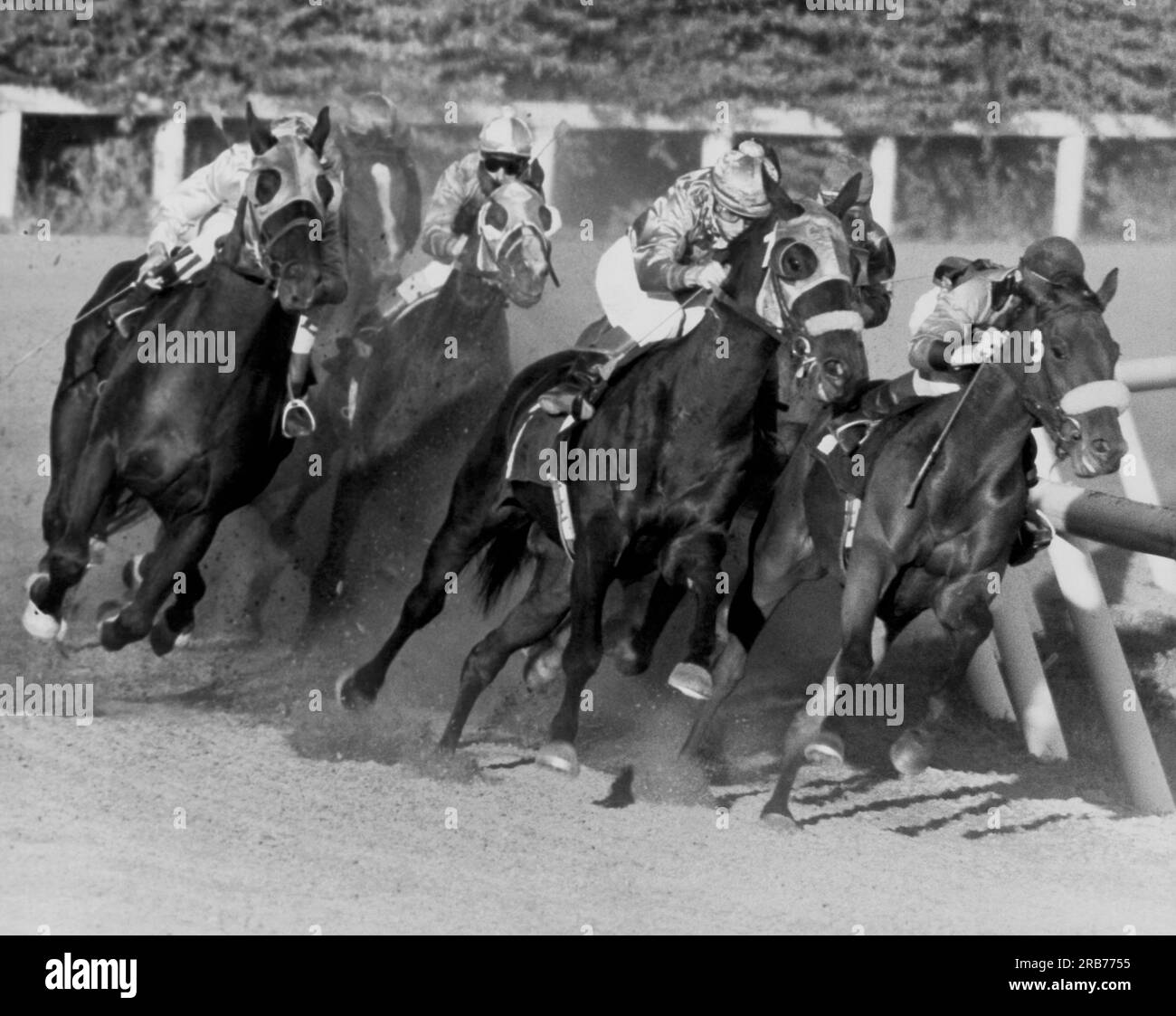 Spokane, Washington:  August 14, 1970 Race horses rounding the first turn at Playfair Commerce Park. Stock Photo