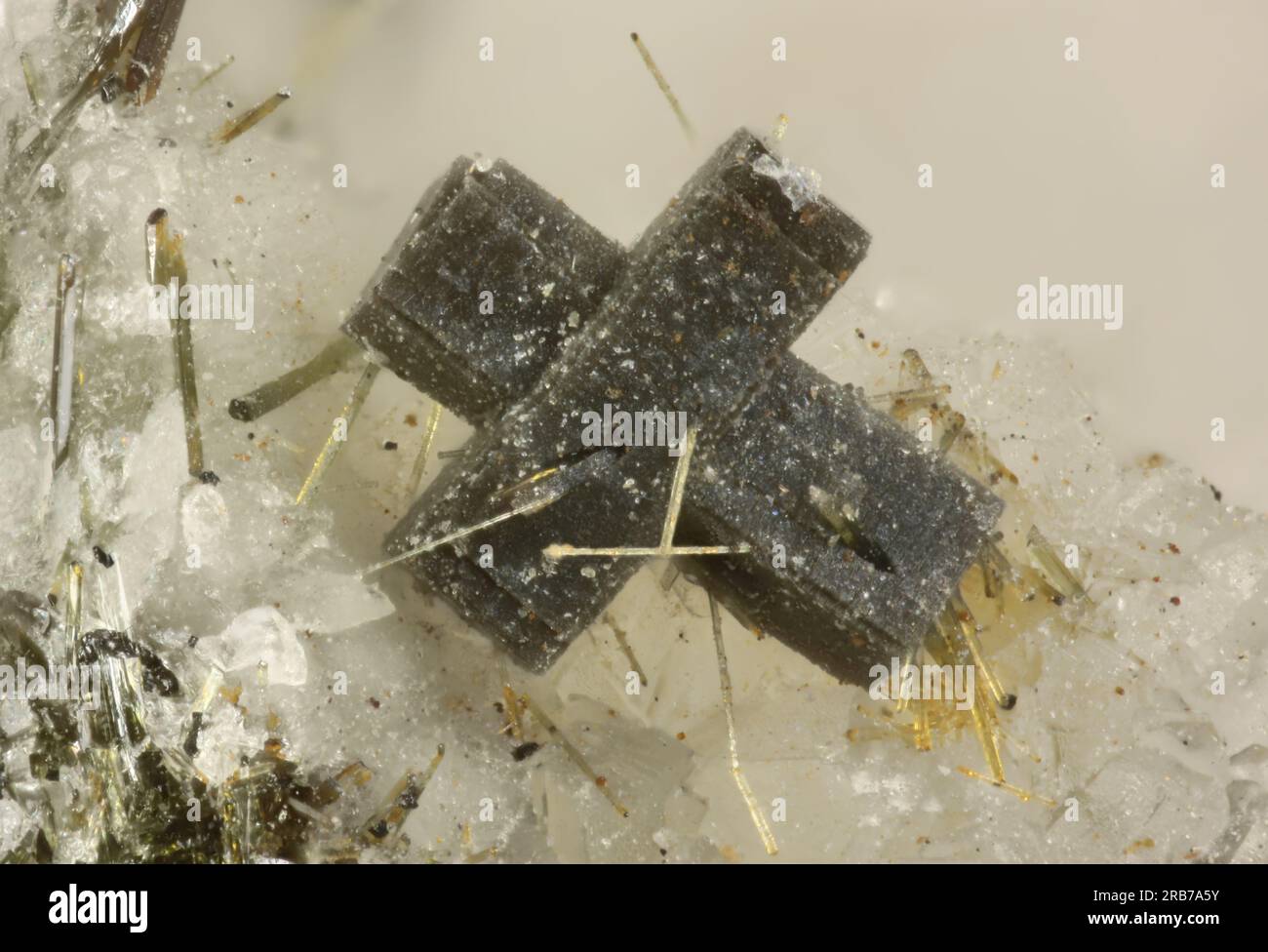 Steacyite - Poudrette quarry, Mont Saint-Hilaire, La Vallée-du-Richelieu RCM, Montérégie, Québec, Canada - 0.95 mm complex Steacyte crystal. Stock Photo