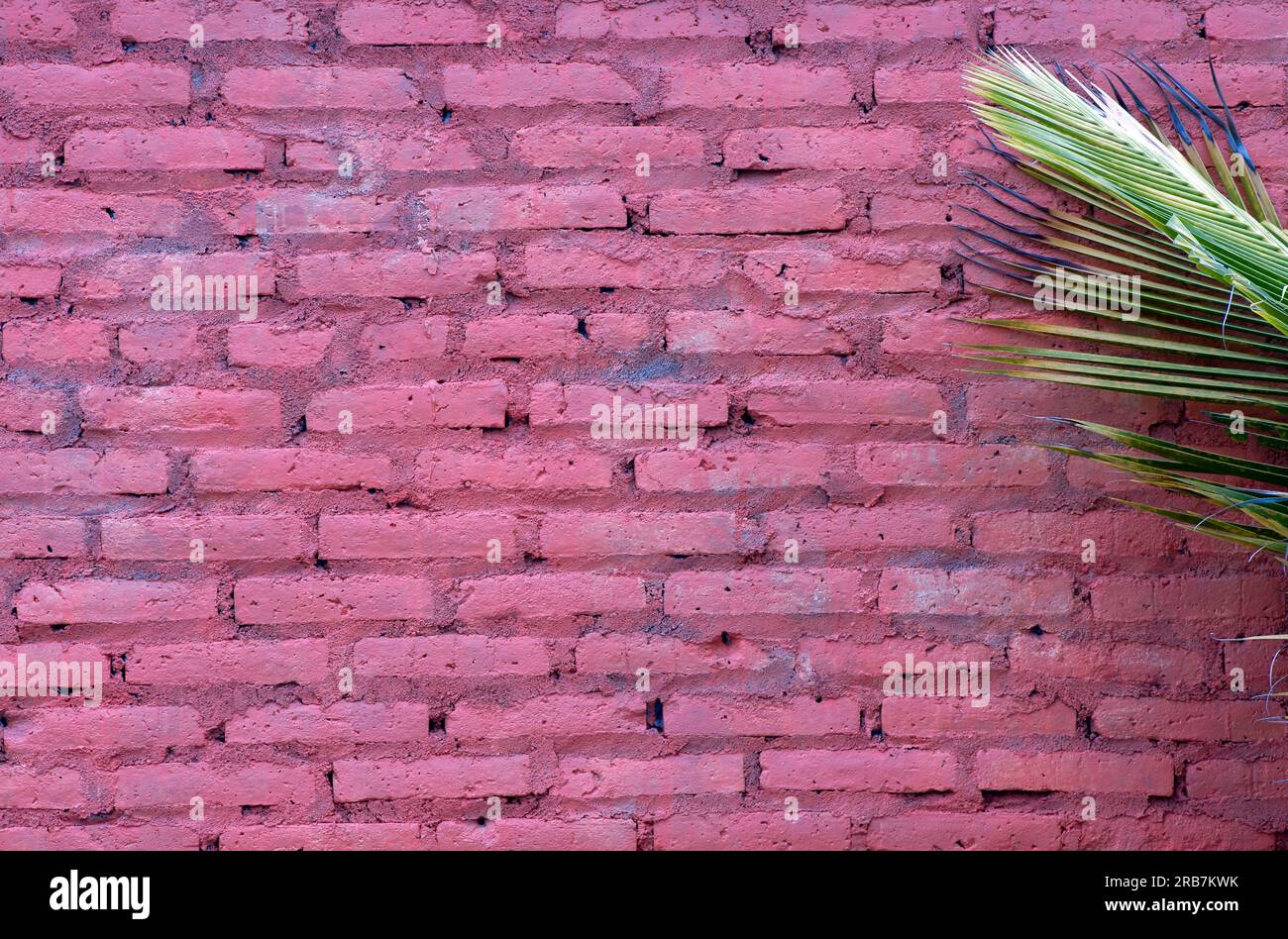 Vintage and old brick wall texture for background for wallpaper Stock ...