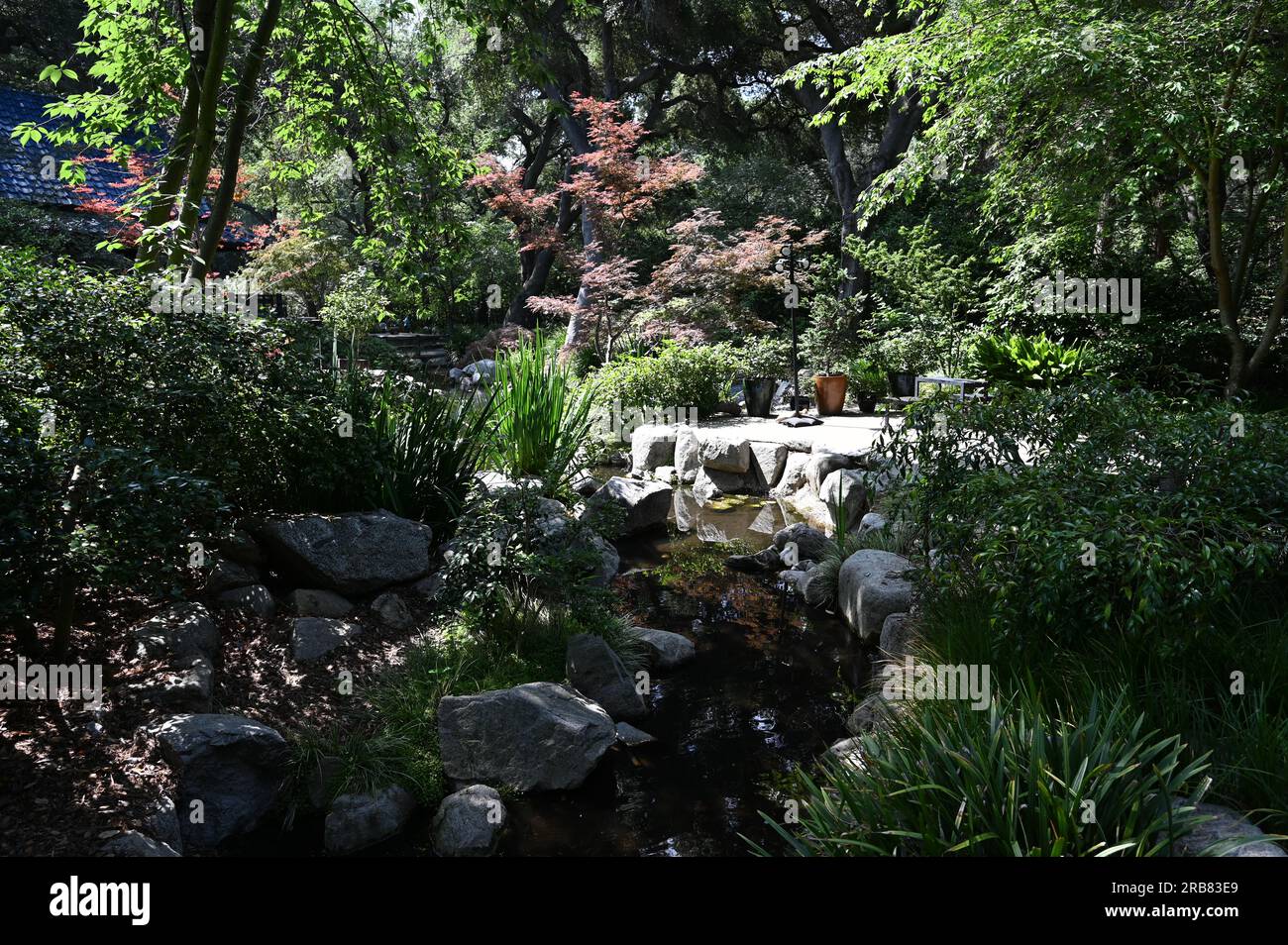 Pond at a Botanical Gardens in Los Angeles Stock Photo Alamy