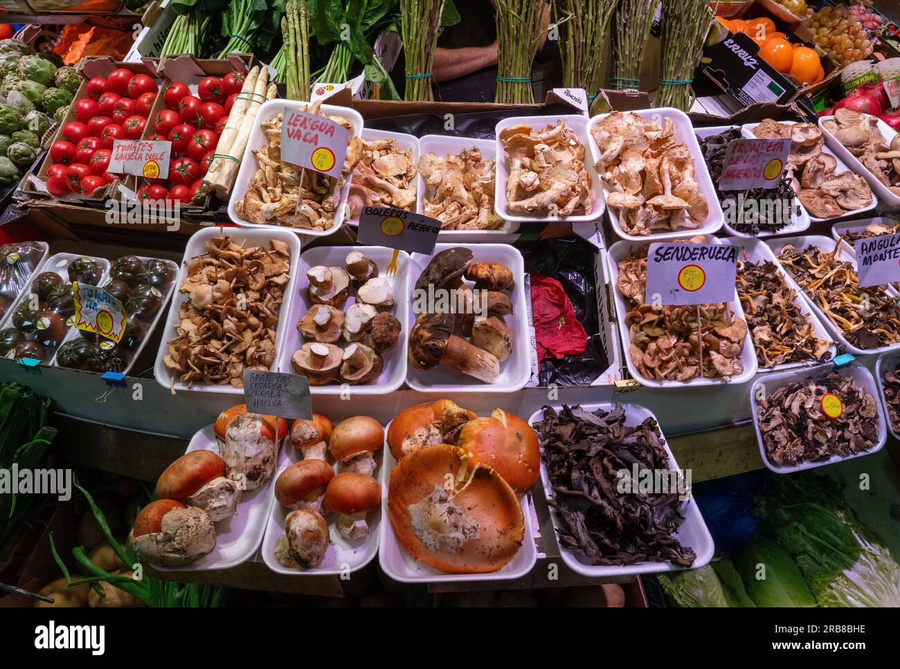 Spanish mushrooms at the La Encarnación market underneath the Metropol Parasol at the La Encarnación Square,Seville, Stock Photo