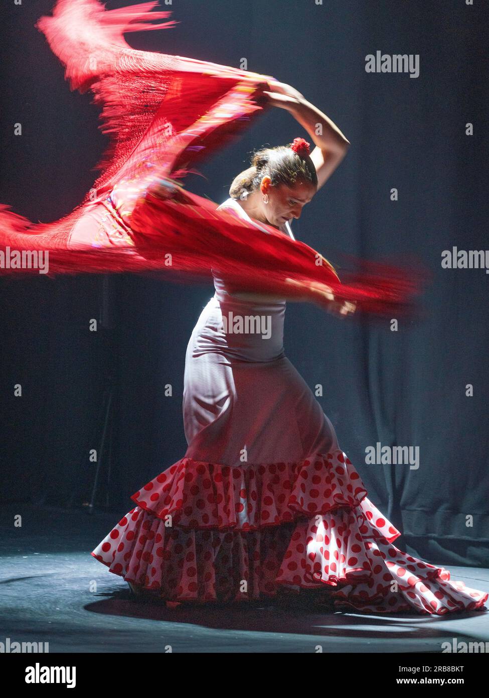 Flamenco show at Teatro Flamenco Sevilla Stock Photo