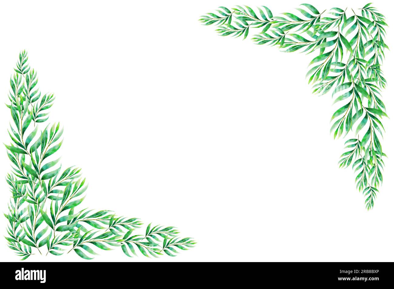 Green leaves Frame Watercolor hand painting on white paper Background ...