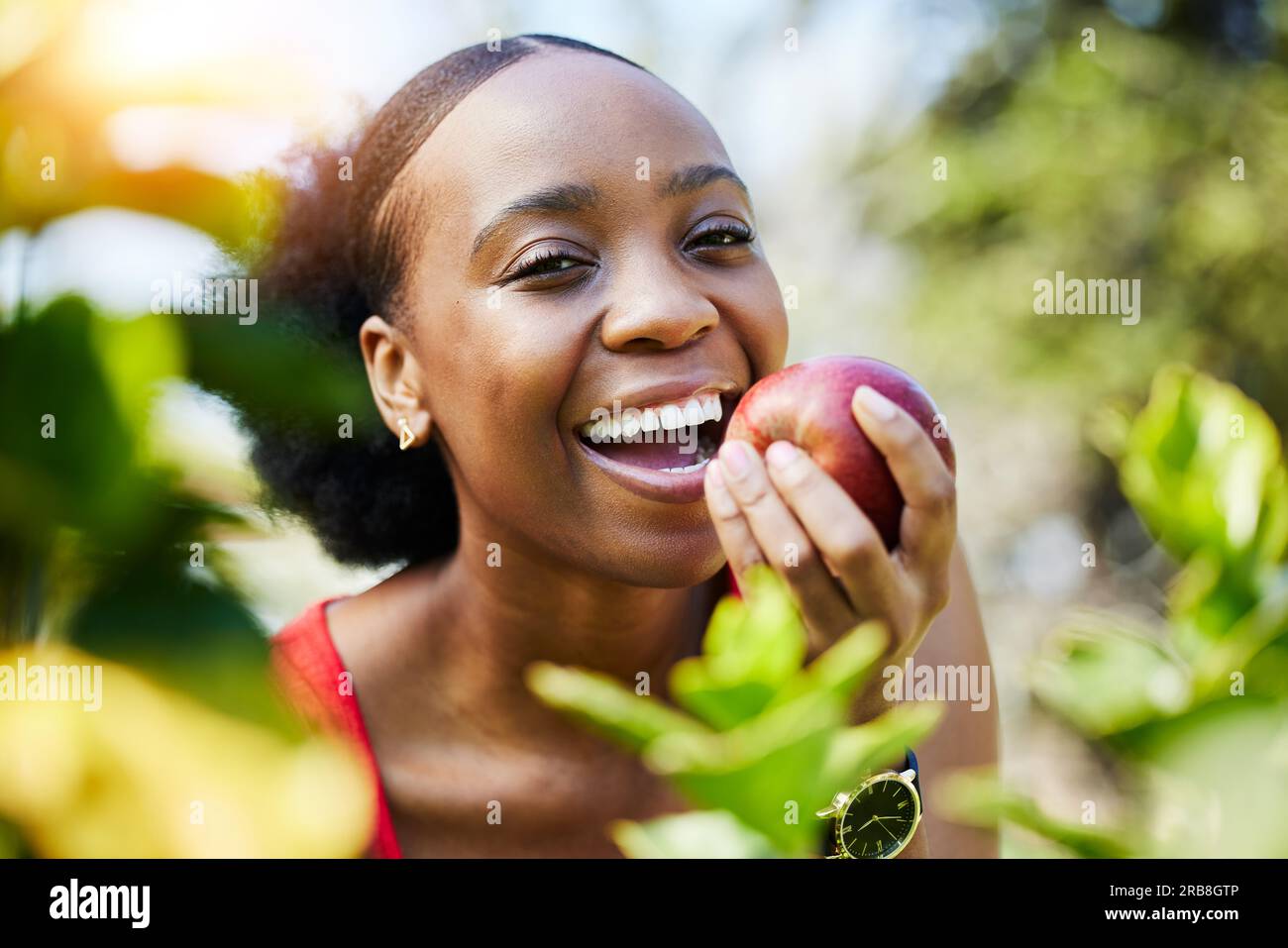 Apple, health and portrait of a black woman biting a fruit on a farm