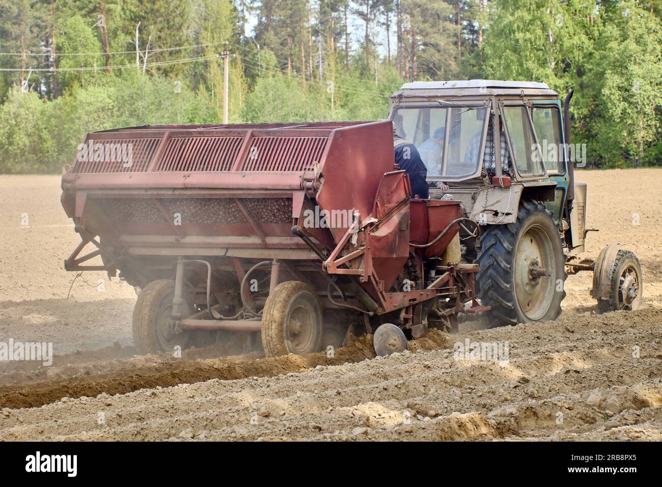 Potato planter attached to farm tractor planting potatoes during field work of planting season. Stock Photo