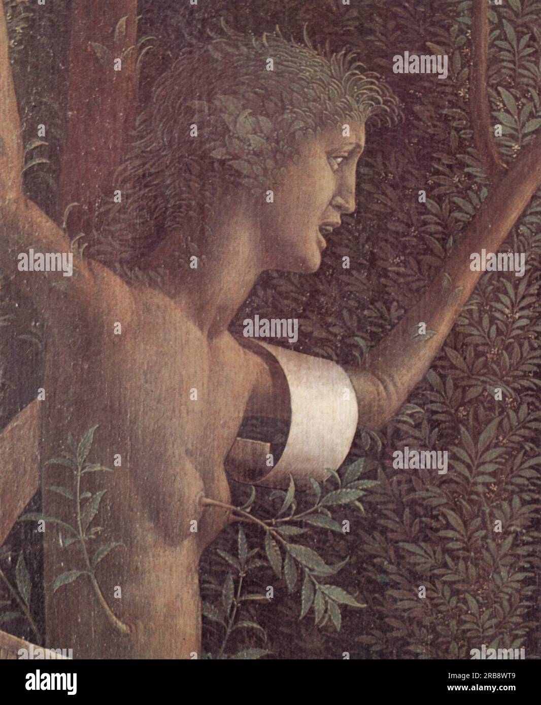 The victory of virtue 1502 by Andrea Mantegna Stock Photo Alamy