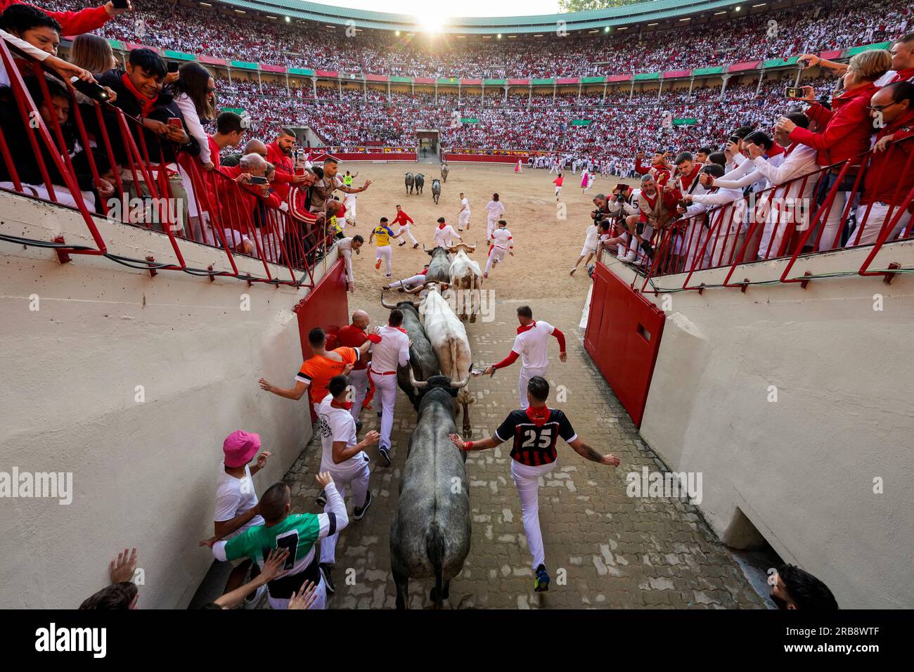 Pamplona, Spain. 08th July, 2023. Bulls and runners enter the bullring during the second running of the bulls of the San Fermin festival in Pamplona, Spain, on July 8, 2023. Thousands of people participated in the second of eight bull runs through the narrow streets of Pamplona's city center in the fiesta whose internationally fame is closely associated to Ernest Hemingway who describes it in his book 'The Sun Also Rises'. Photo by Paul Hanna/UPI Credit: UPI/Alamy Live News Stock Photo