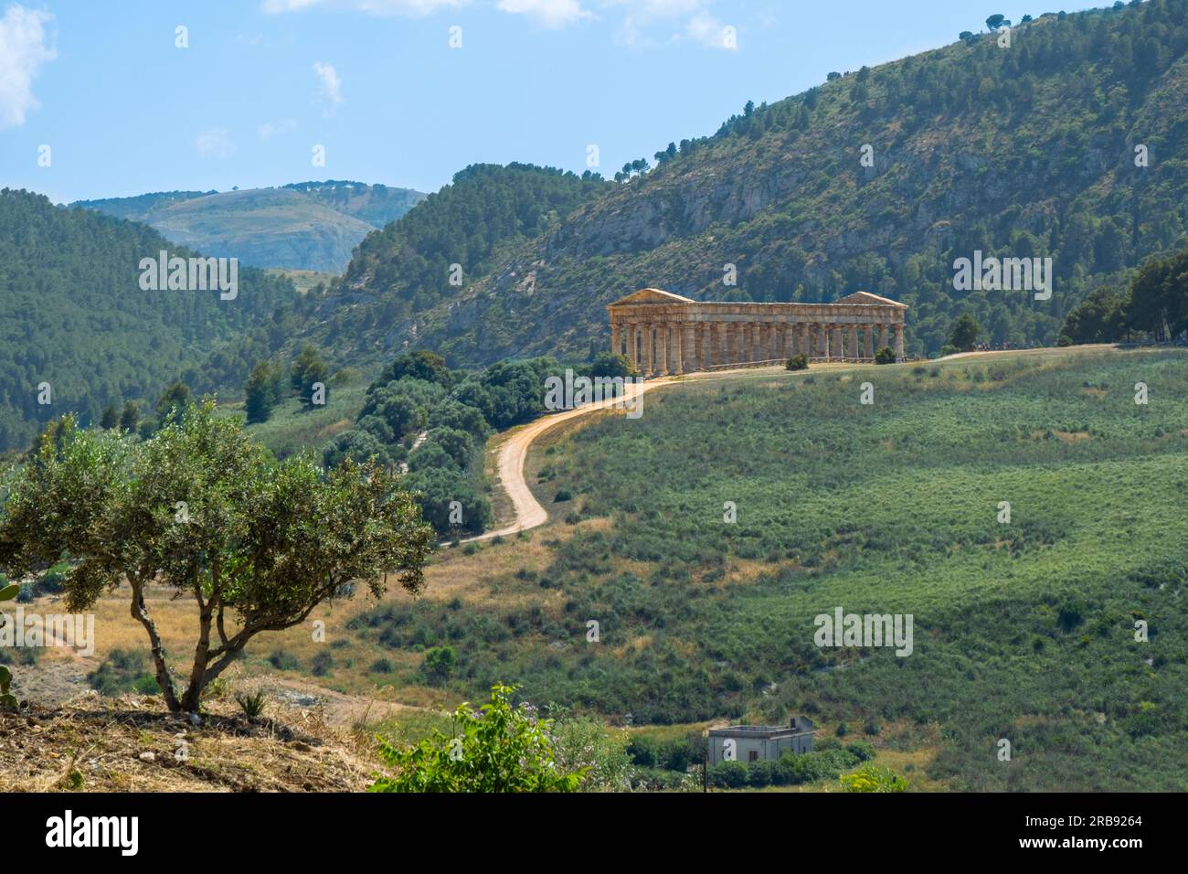 The Doric temple of Segesta. Segesta, Calatafimi, Trapani, Sicily, Italy, Europe. Stock Photo