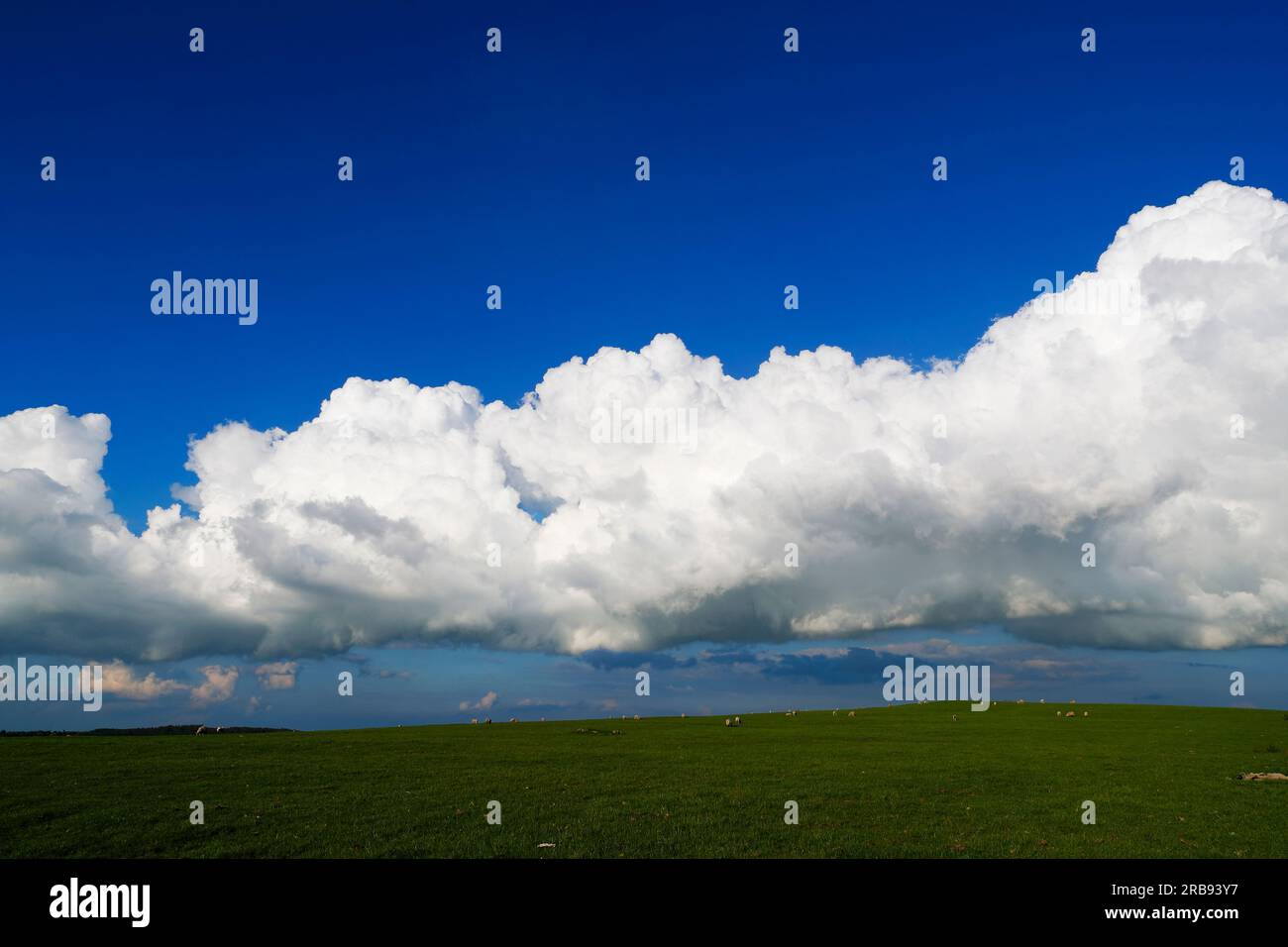 Low Clouds Cumulus congestus seen over Nidderdale North Yorkshire. Stock Photo