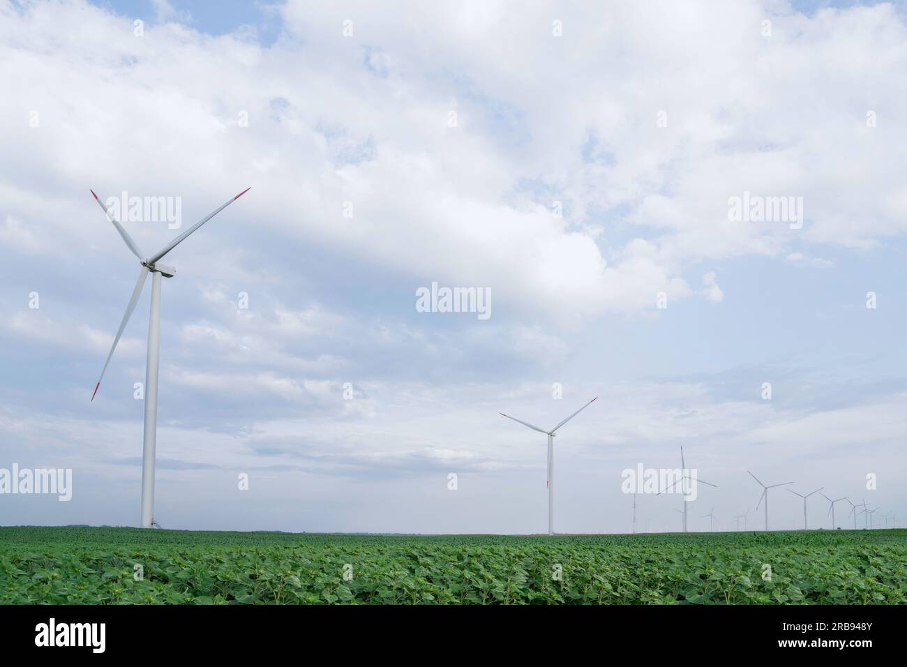 Agricultural field with wind turbines Stock Photo