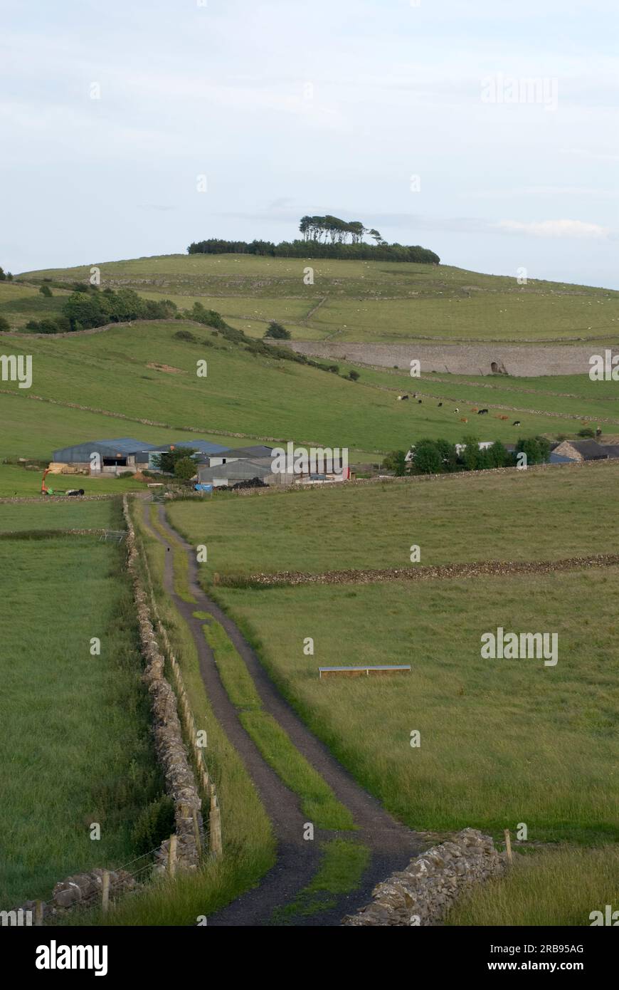 Minninglow archaeological burial site and surrounding fields in the Peak District, Derbyshire, England 'Great Britain Stock Photo