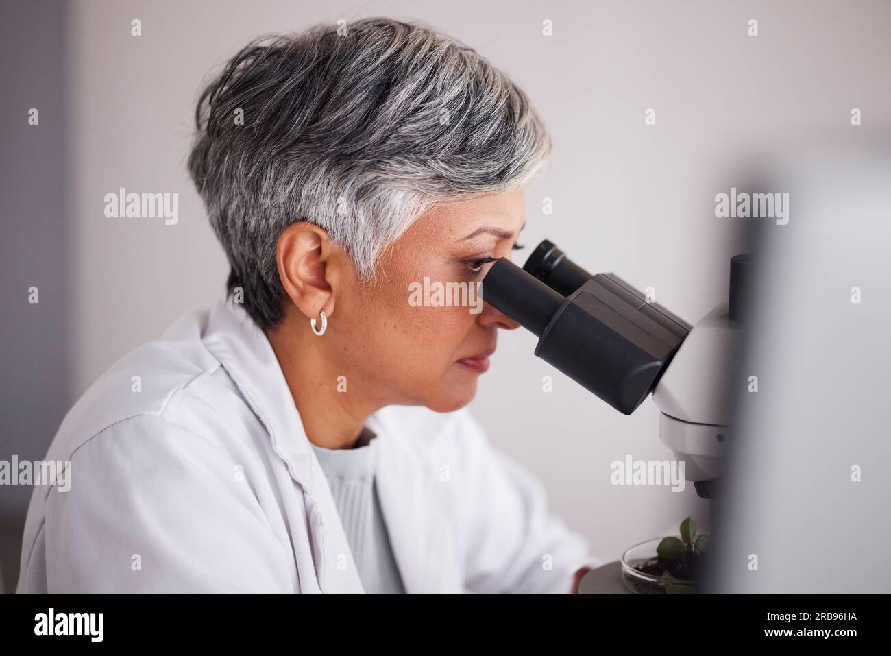 Senior scientist, woman and microscope, analysis of data and medical research, profile and experiment. DNA sample, assessment and investigation with Stock Photo