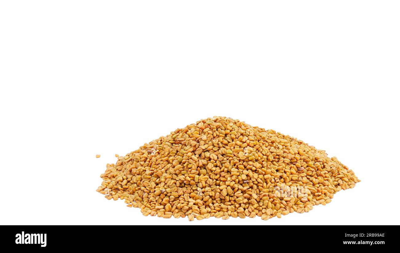 Pile fenugreek grains, Organic fenugreek Seeds or Methi Dana. Methi or