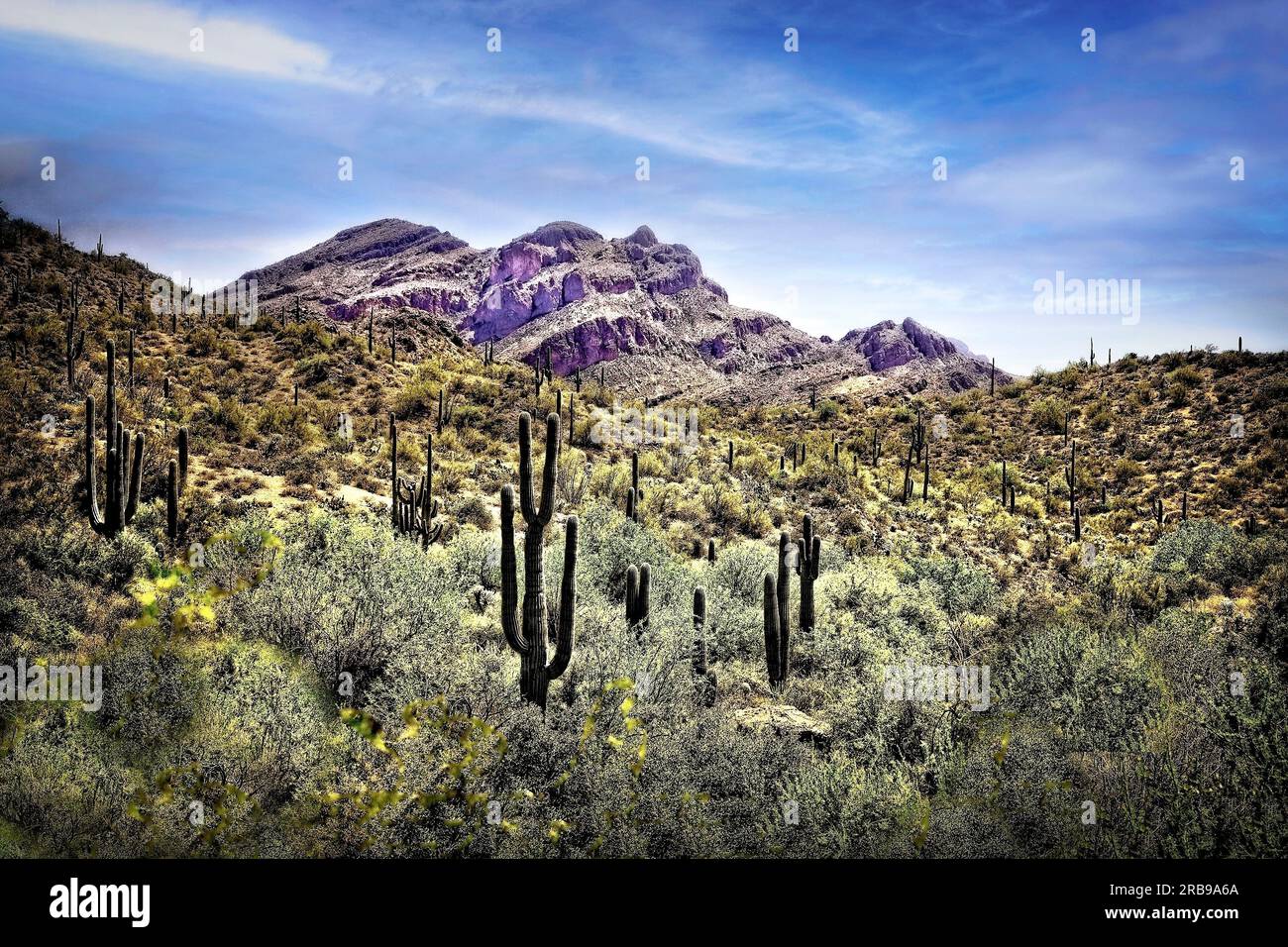 The Superstition Mountains rise above in the Sonoran desert of Arizona. Stock Photo